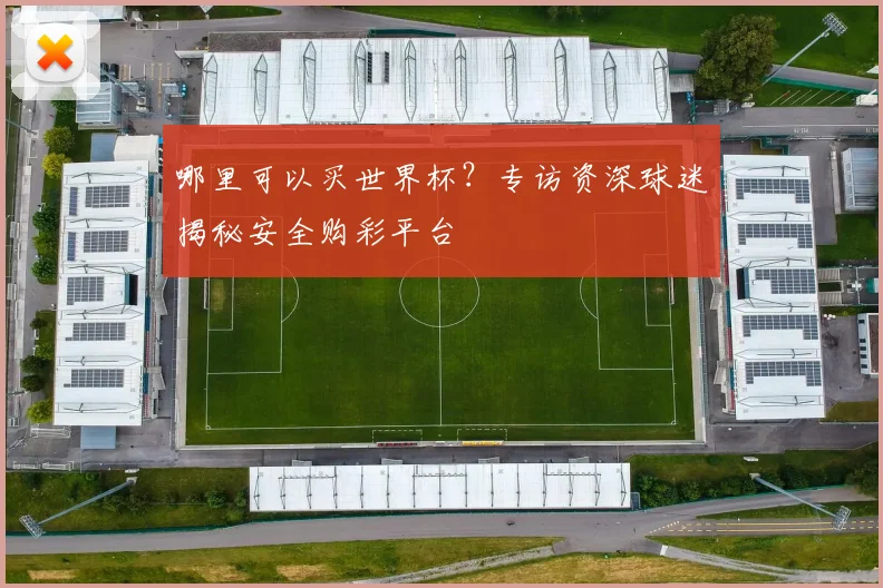 哪里可以买世界杯？专访资深球迷揭秘安全购彩平台