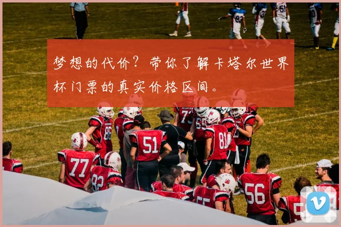 梦想的代价？带你了解卡塔尔世界杯门票的真实价格区间。