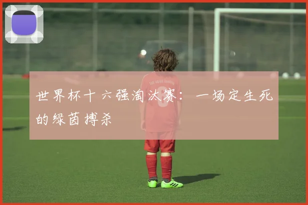 世界杯十六强淘汰赛：一场定生死的绿茵搏杀