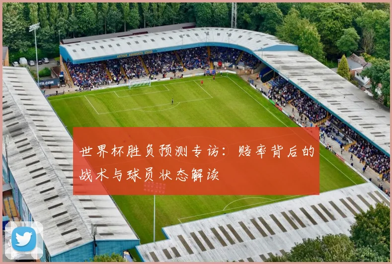 世界杯胜负预测专访：赔率背后的战术与球员状态解读