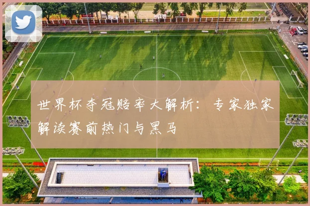 世界杯夺冠赔率大解析：专家独家解读赛前热门与黑马
